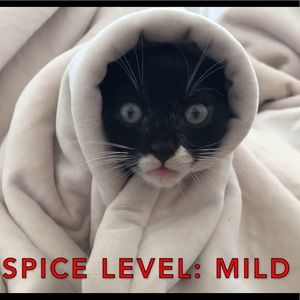 Meet your Posher, Karlee